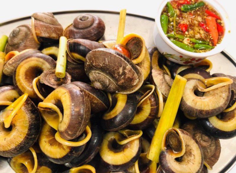 Ốc suối Bàng Mộc Châu – đặc sản núi rừng chỉ có vào mùa mưa