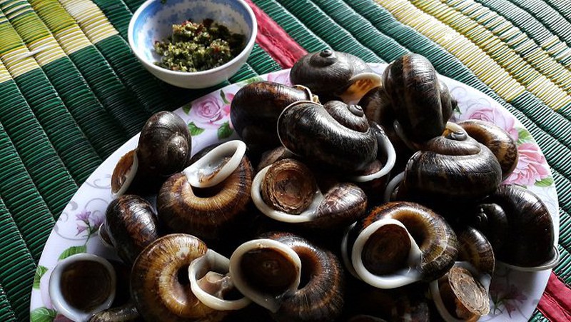 Ốc suối Bàng Mộc Châu với thịt giòn ngọt tự nhiên