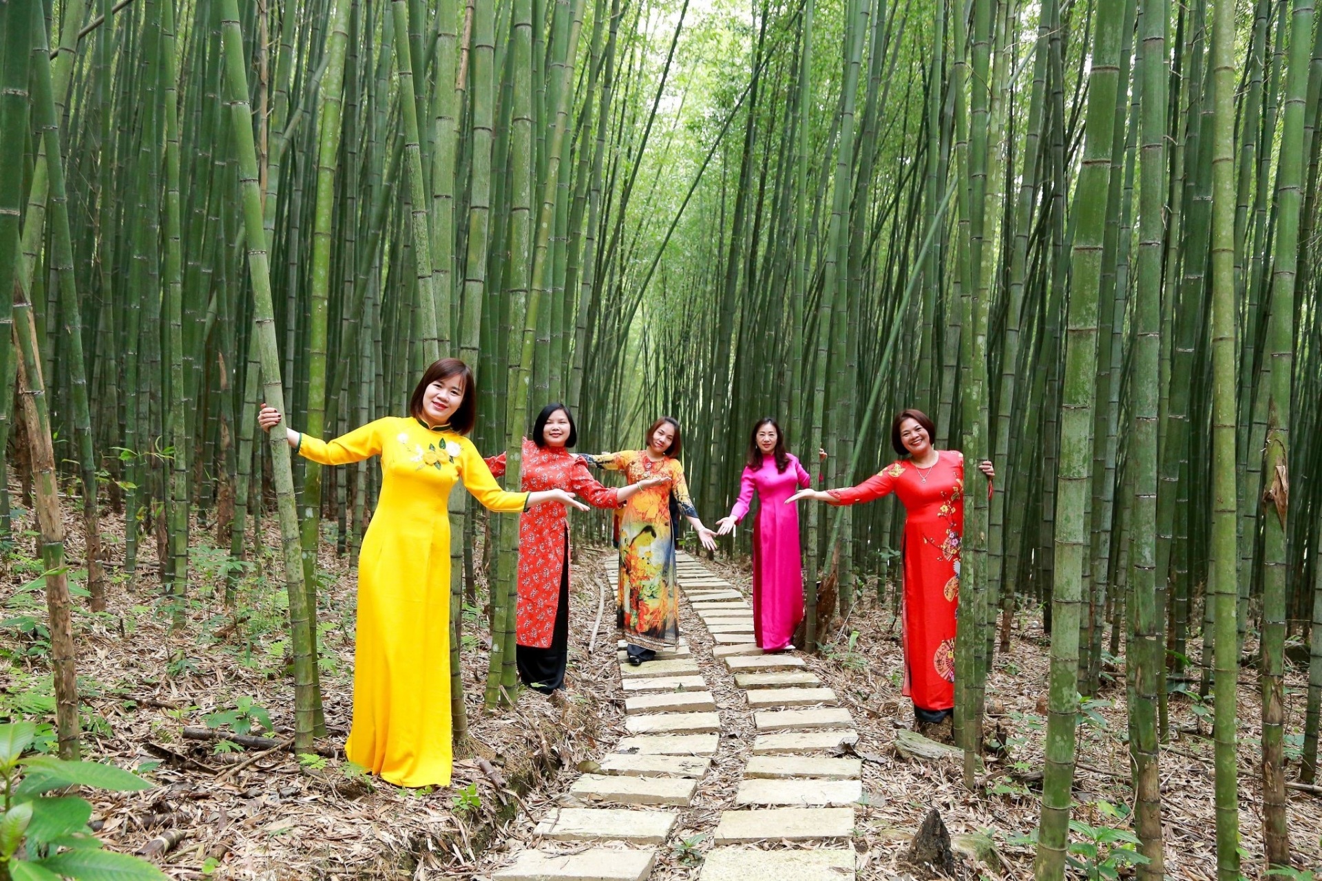 Rừng trúc Nguyên Bình