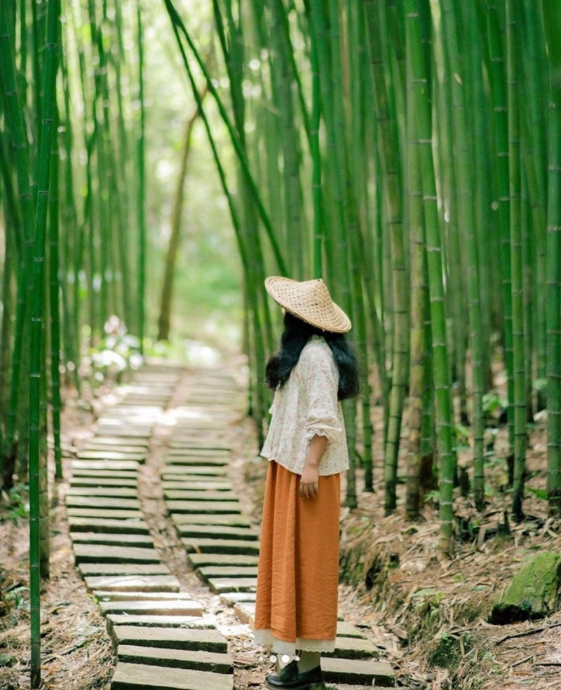 Lạc giữa chốn thần tiên ở rừng trúc Nguyên Bình