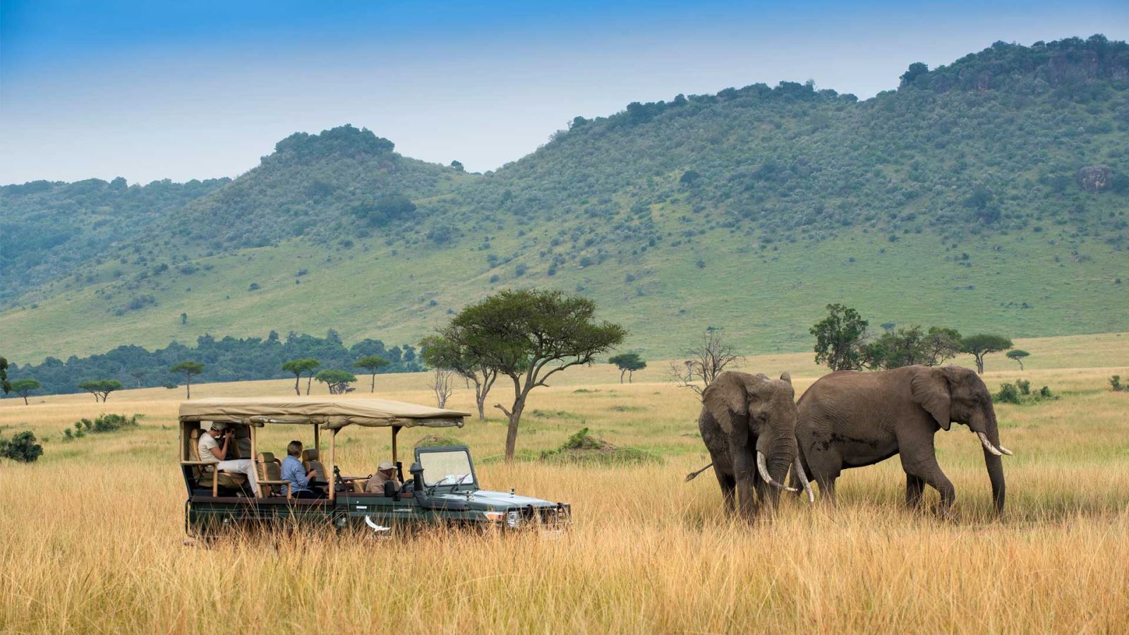 Du khách trên xe safari Land Cruiser quan sát sư tử tại Maasai Mara - chi phí safari phụ thuộc vào tiêu chuẩn xe, chỗ ở và mùa du lịch