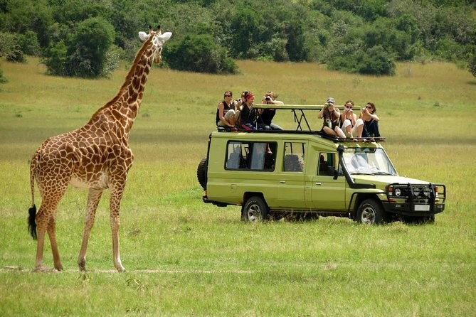 Xe chuyên dụng thường được sử dụng trên các tuyến safari tại Kenya.