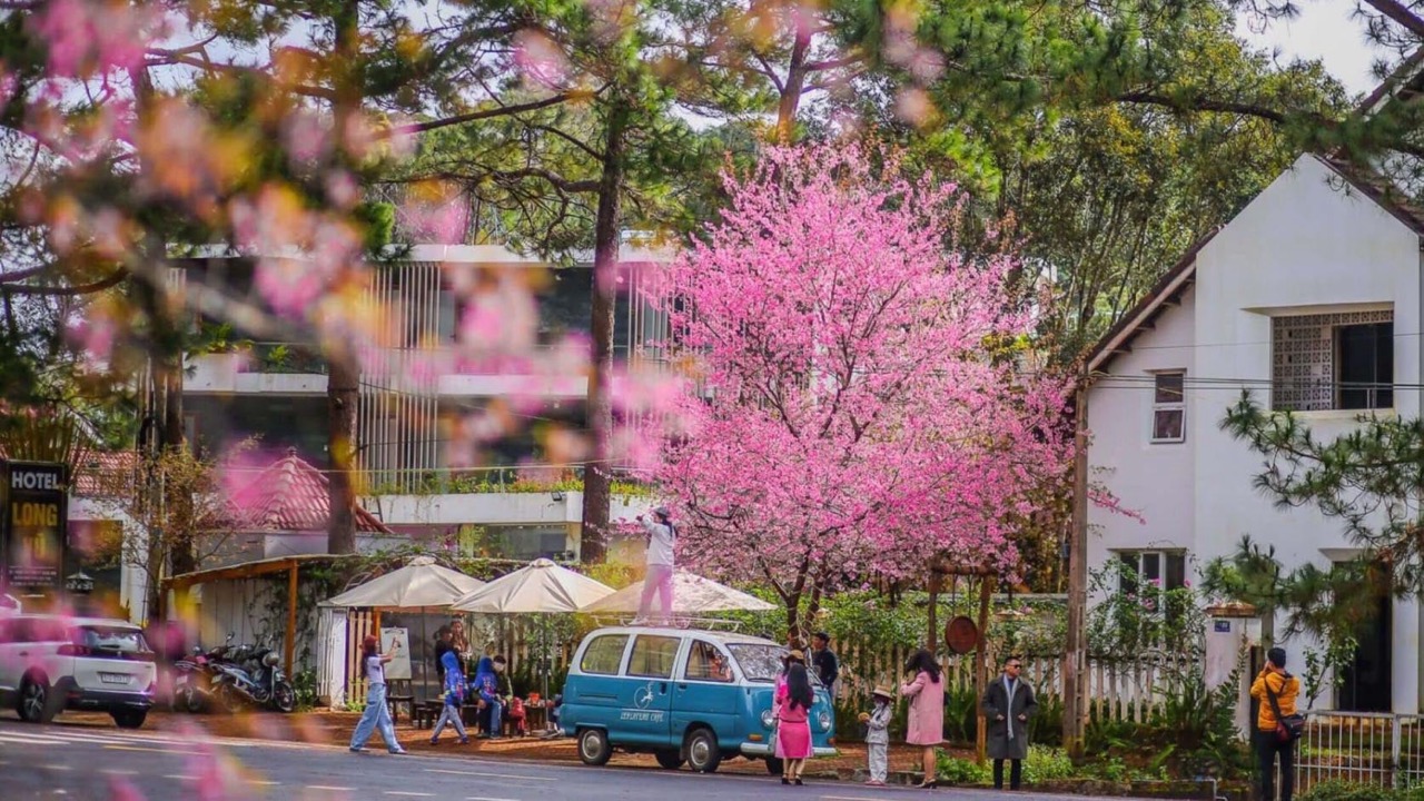Măng Đen rực rỡ sắc hoa
