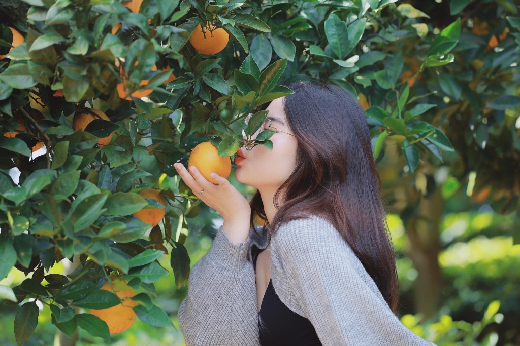 Những chùm cam ly sai trĩu quả