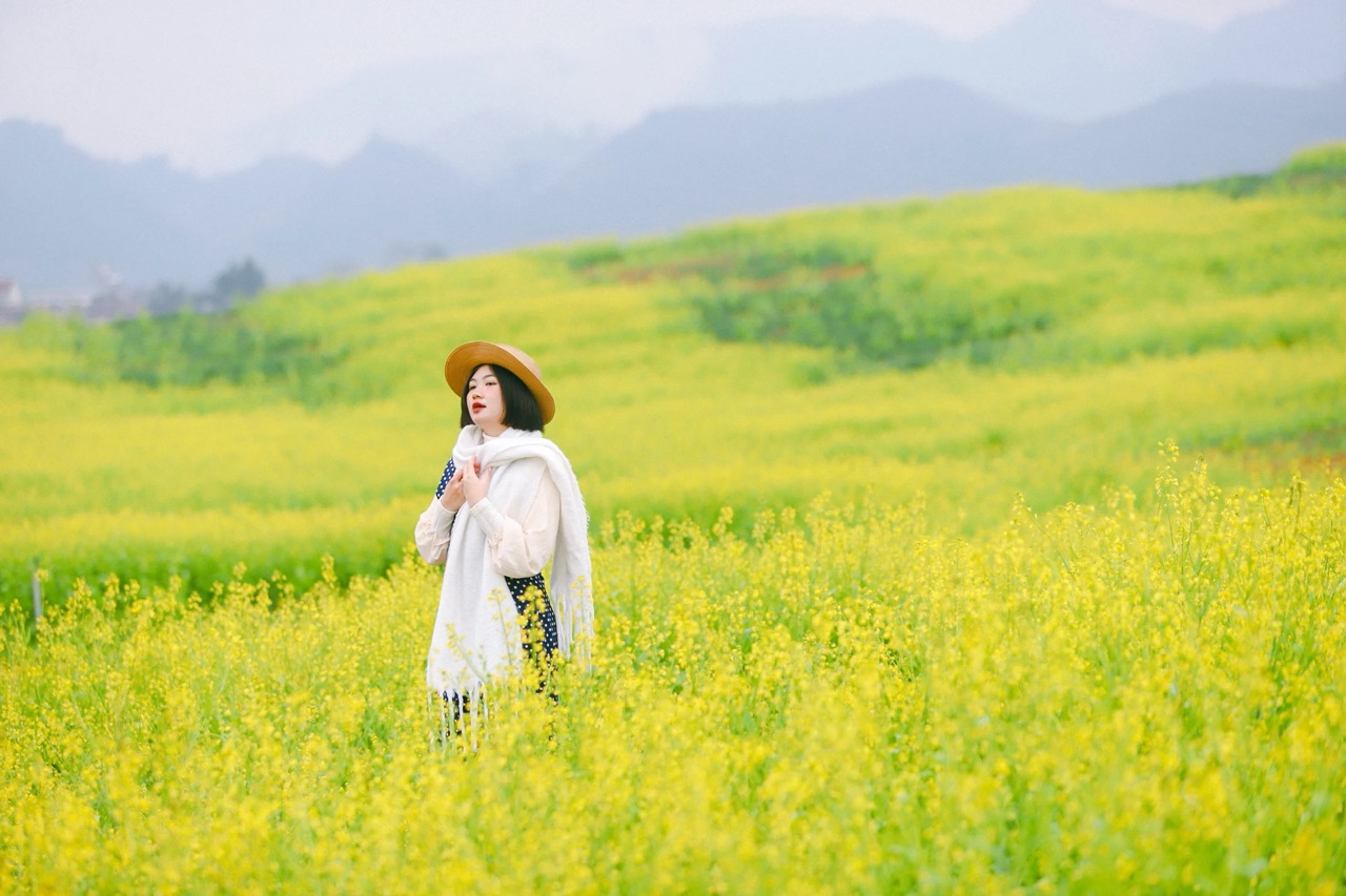 Những thảm hoa cải vàng dịu nhẹ trải dài, níu chân du khách giữa mùa xuân cao nguyên