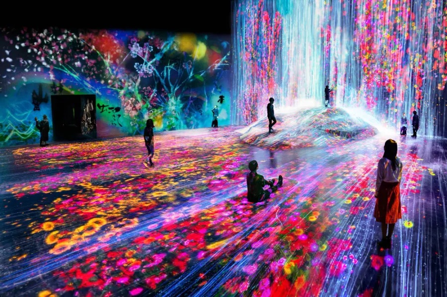 Triển lãm nghệ thuật ánh sáng teamLab tại Vườn Thực Vật Nagai Osaka về đêm