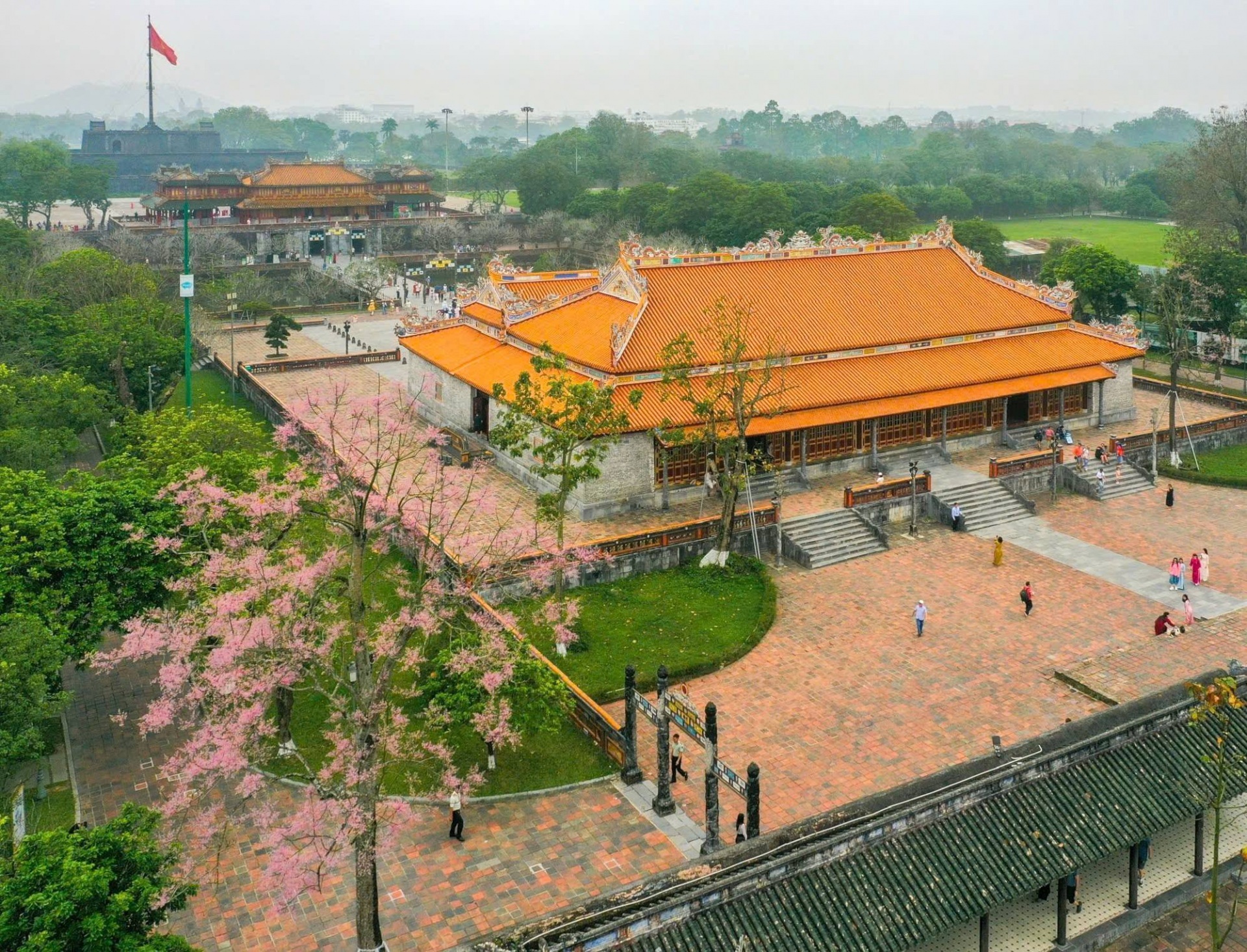 Hoa ngô đồng nở tím trong không gian cổ kính cố đô Huế