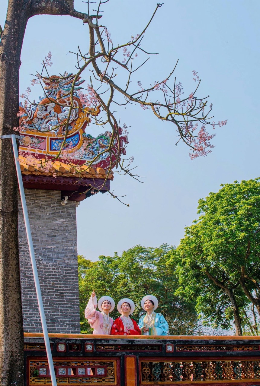 Những góc check in say đắm lòng người