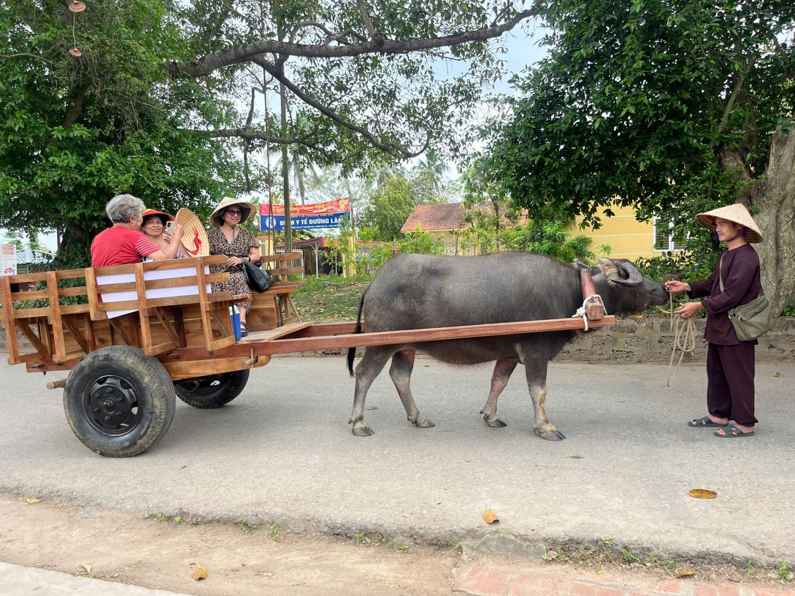 Du khách trải nghiệm xe trâu tại Đường Lâm