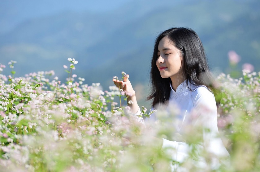 Mùa hoa tam giác mạch Hà Giang