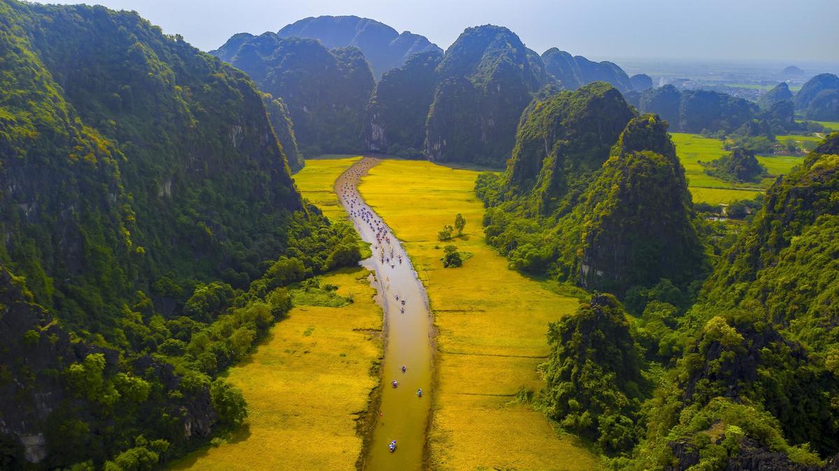 Cánh đồng lúa ven sông Ngô Đồng Tam Cốc