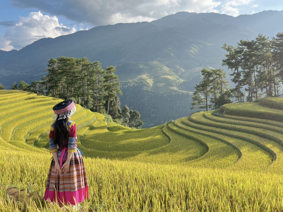 Ruộng bậc thang Mù Cang Chải mùa lúa chín