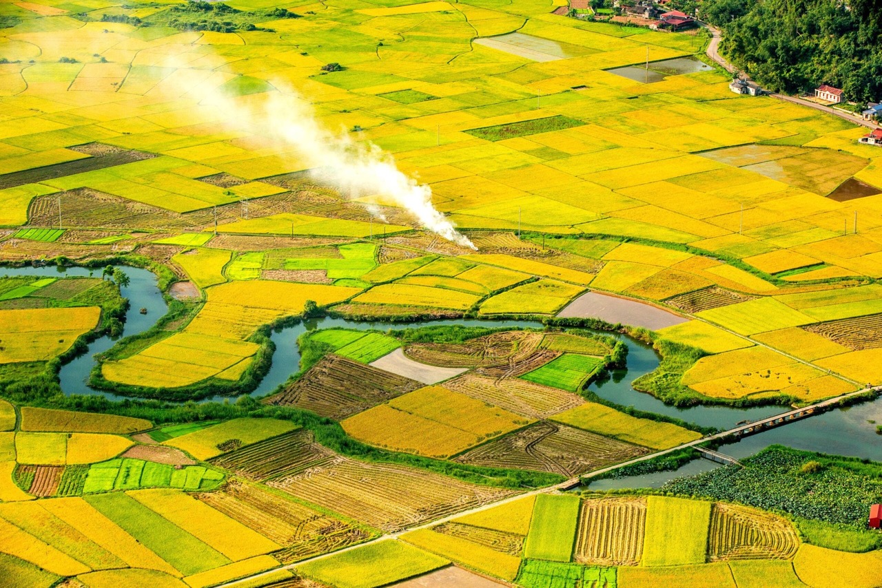 Ngắm thung lũng Bắc Sơn mùa lúa chín nhìn từ đỉnh Nà La