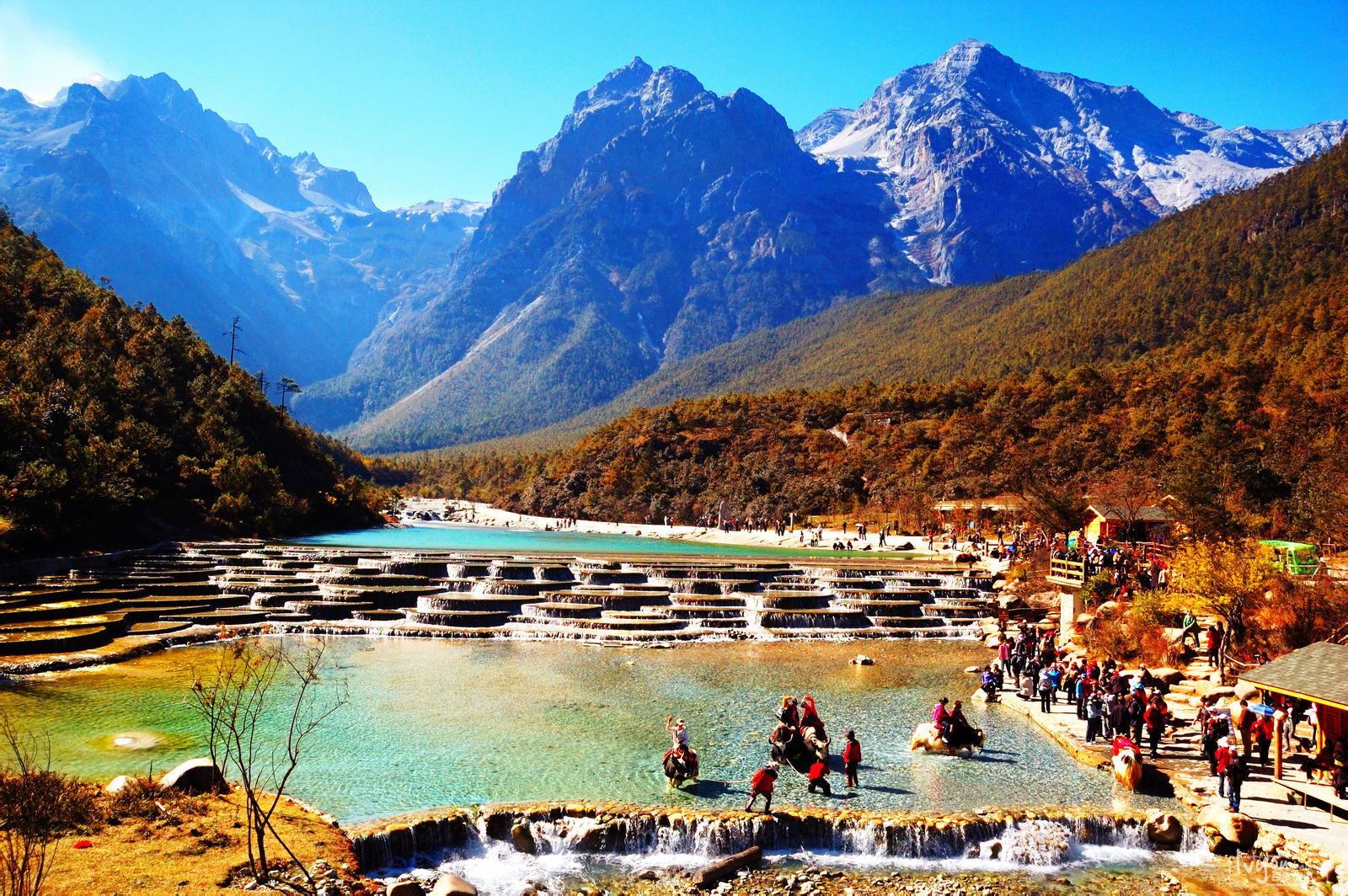 Khung cảnh thơ mộng dưới chân Núi tuyết Ngọc Long