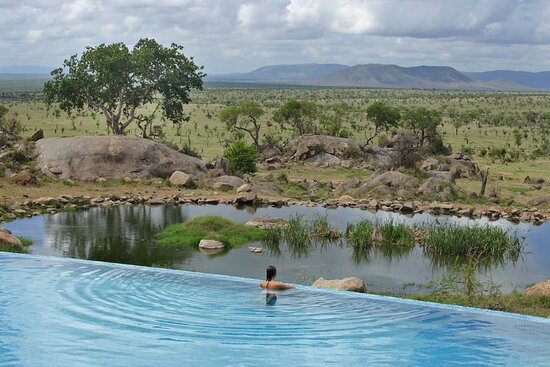Lodge 4 sao tại Serengeti