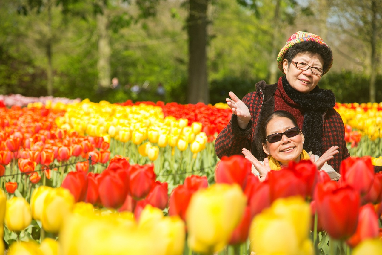 Sắc màu rực rỡ tại vườn hoa Keukenhof - Thiên đường mùa xuân Châu Âu