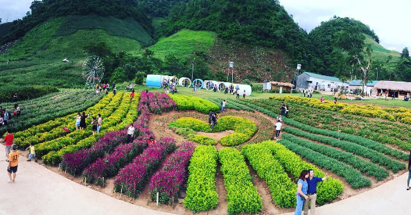 Vườn hoa Happy Land Mộc Châu