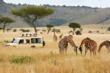 Du Lịch Kenya: Du Lịch Kenya Có An Toàn Không?