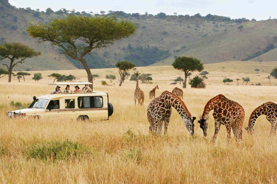 Du Lịch Kenya: Du Lịch Kenya Có An Toàn Không?