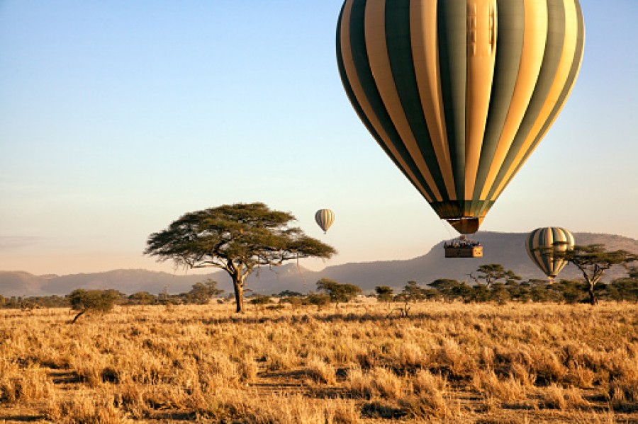 Khinh Khí Cầu Serengeti: Giá Bao Nhiêu, Có Đáng Không?