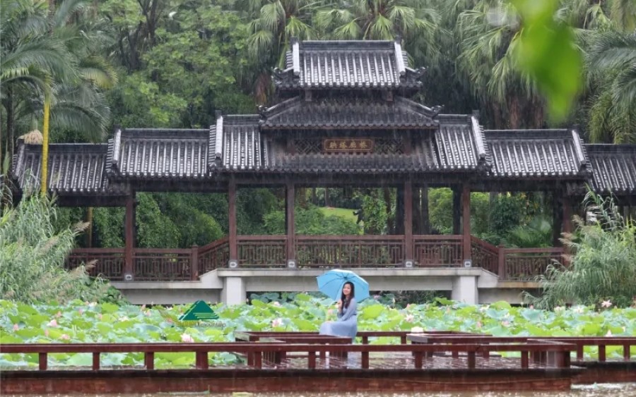 Review tour Nam Ninh 3 ngày 2 đêm không shopping - hành trình xanh, chạm vào ký ức khó quên