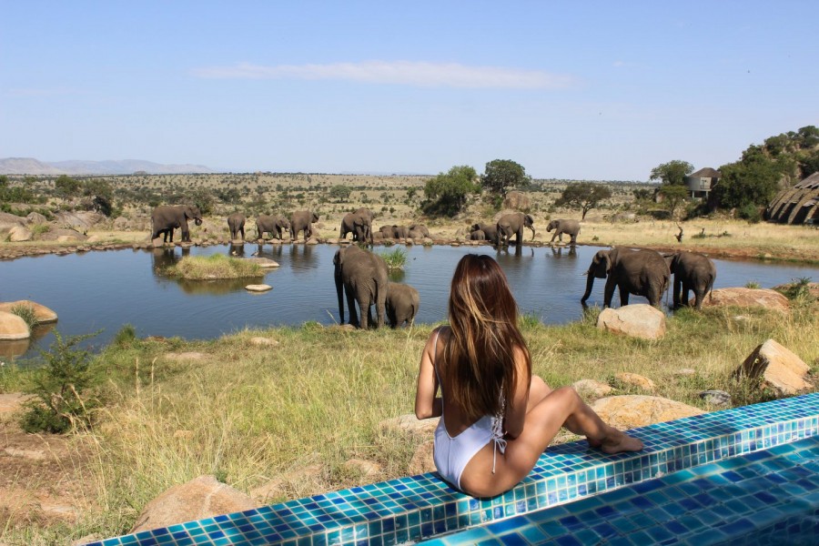 Tour Kenya-Tanzania Mùa Thú Di Cư: Lịch Trình, Giá Và Trải Nghiệm Chi Tiết