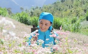 Du lịch Hà Giang 2017 - lạc vào phim trường đẹp đến nghẹt thở: “Lặng yên dưới vực sâu”