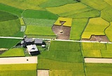 Ẩm Thực Bắc Sơn - Hương Vị Núi Rừng Níu Chân Người Lữ Khách