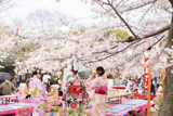 MÙA HOA ANH ĐÀO Ở TOKYO – VẺ ĐẸP THƠ MỘNG GIỮA LÒNG NHẬT BẢN