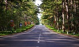 Trọn bộ bí kíp du lịch Măng Đen 2026 chi tiết nhất định phải biết