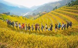 Kinh Nghiệm Lái Xe Chinh Phục Mù Cang Chải