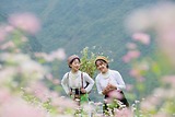 Gọi Mùa Hoa Về Trên Cao Nguyên Đá Đồng Văn - Hành Trình Của Kẻ Si Tình Với Đất Hà Giang