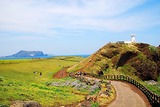 Top Những Điểm Check-In Không Thể Bỏ Qua Khi Đặt Chân Đến Jeju – Hòn Đảo Thiên Đường Của Hàn Quốc
