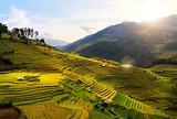Những Điểm Check-In Triệu Like Không Thể Bỏ Lỡ Khi Du Lịch Mù Cang Chải Mùa Lúa Chín