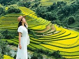 So Sánh Đi Tự Túc Và Đi Tour Mù Cang Chải - Trạm Tấu: Phương Án Nào Lợi Hơn?