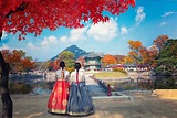 DU LỊCH MÙA LÁ VÀNG HÀN QUỐC CÙNG TIÊN PHONG TRAVEL - THÁNG MẤY LÀ THỜI ĐIỂM ĐẸP NHẤT?