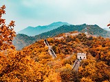 Kinh nghiệm đi du lịch Trung Quốc tự túc chi tiết nhất