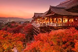 Những Địa Điểm Ngắm Lá Mùa Thu Tại Kyoto Mà Bạn Nhất Định Phải Đến