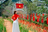Sa Pa mùa lúa chín vàng rực, nhanh nhanh lên đường kẻo lỡ!