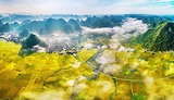 Săn mây Bắc Sơn mùa lúa chín: Trải nghiệm kỳ diệu trên đỉnh Nà Lay
