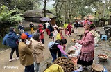 Sin Suối Hồ: Thiên Đường Trong Mây Và Hành Trình Chạm Đến Vẻ Đẹp Tinh Khiết Của Lai Châu