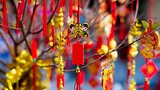 THỜI TIẾT TẾT NGUYÊN ĐÁN 2026: DỰ BÁO 3 MIỀN & GỢI Ý DU XUÂN PHÙ HỢP