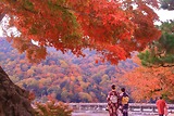 Top 5 Địa Điểm Tuyệt Đẹp Ở Arashiyama Nhật Bản Khi Mùa Thu Về
