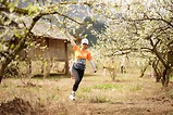 Vietnam Trail Marathon 2026 Và Hành Trình Chạm Tới Vẻ Đẹp Tinh Khôi Của Mộc Châu
