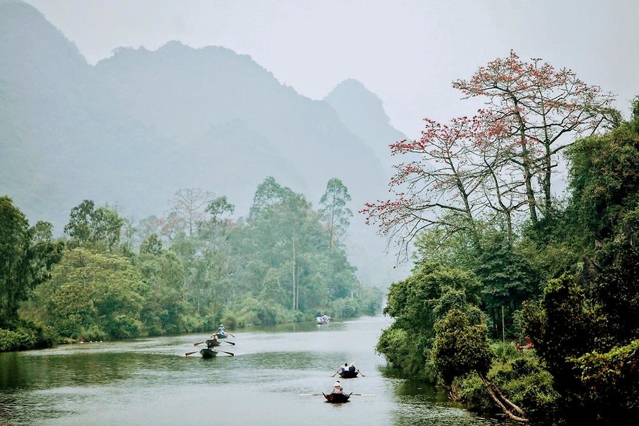 Chùa Hương mùa hoa gạo: Điểm đến không thể bỏ lỡ mỗi dịp tháng 3