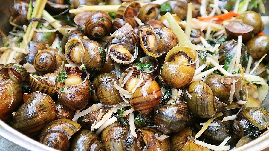 Ốc suối Bàng Mộc Châu - Hương vị núi rừng níu chân người lữ khách