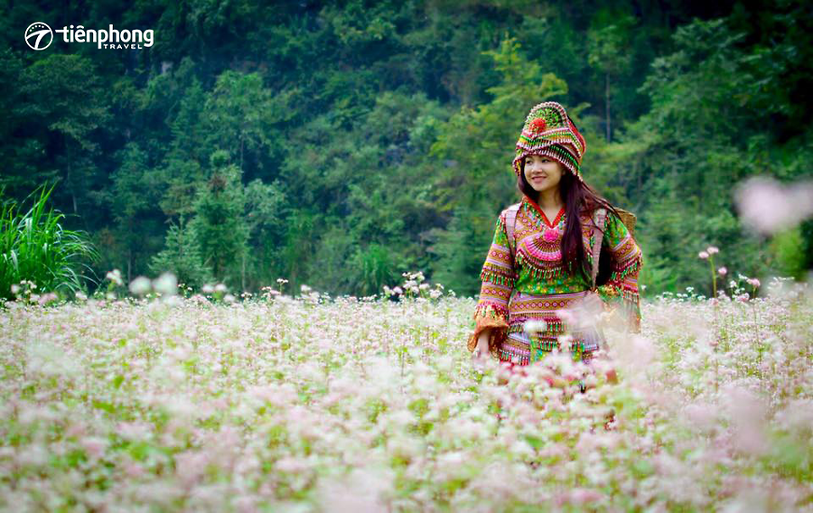 Hân hoan đón Lễ hội hoa tam giác mạch Hà Giang 2018 - Xách ba lô lên và đi!