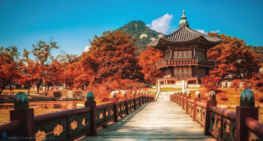 3 tour du lịch Hàn Quốc hot nhất tại Tiên Phong Travel