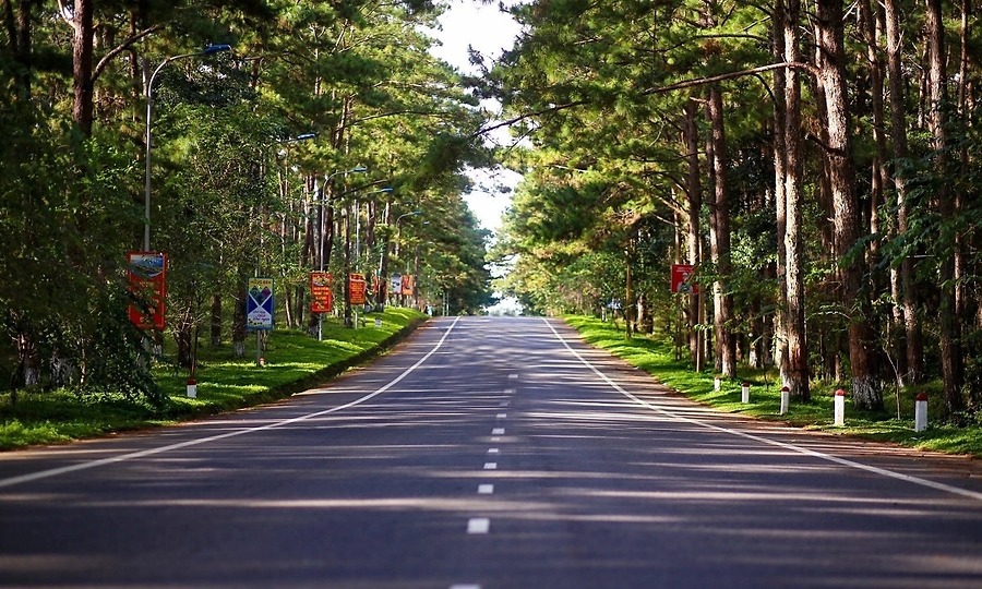 Trọn bộ bí kíp du lịch Măng Đen 2026 chi tiết nhất định phải biết
