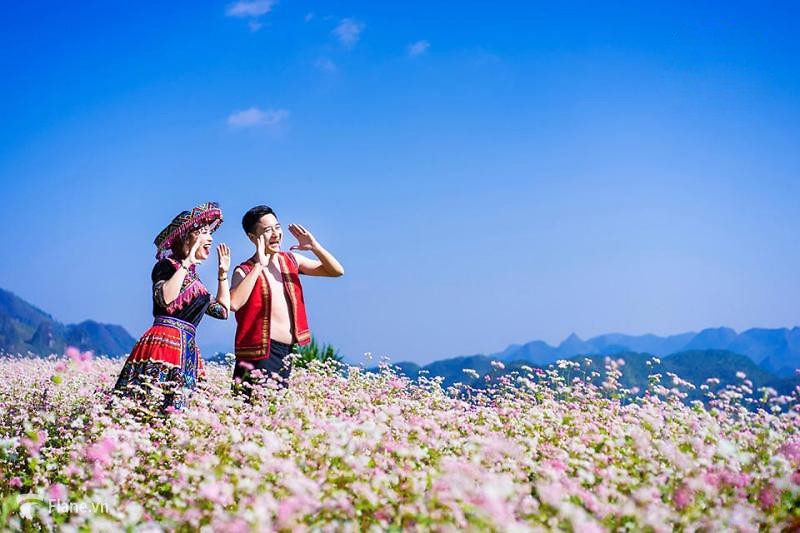 Cẩm Nang Du Lịch Lễ Hội Hoa Tam Giác Mạch 2025 Sau Sáp Nhập Hà Giang - Tuyên Quang